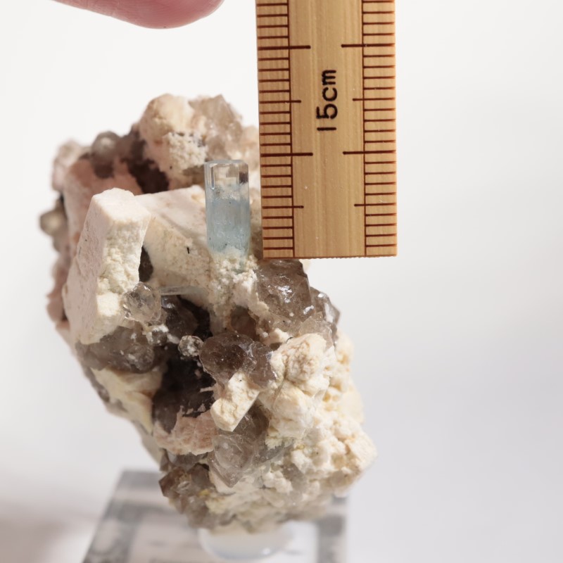 �ʥߥӥ������������ޥ�����徽