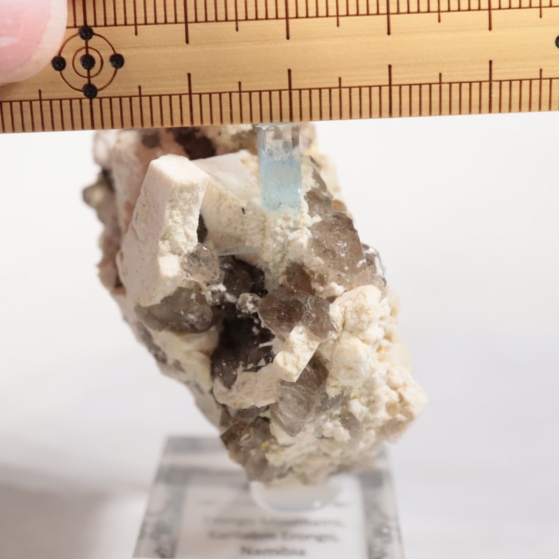 �ʥߥӥ������������ޥ�����徽