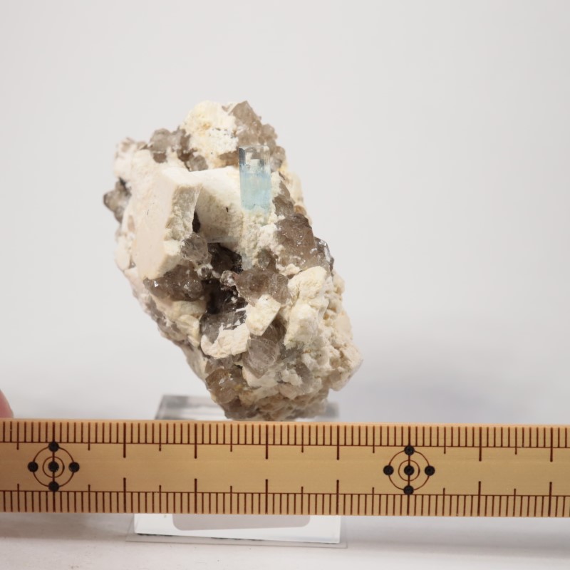 �ʥߥӥ������������ޥ�����徽