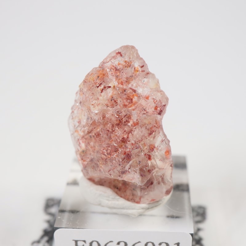 ���󥶥˥��������󥹥ȡ���