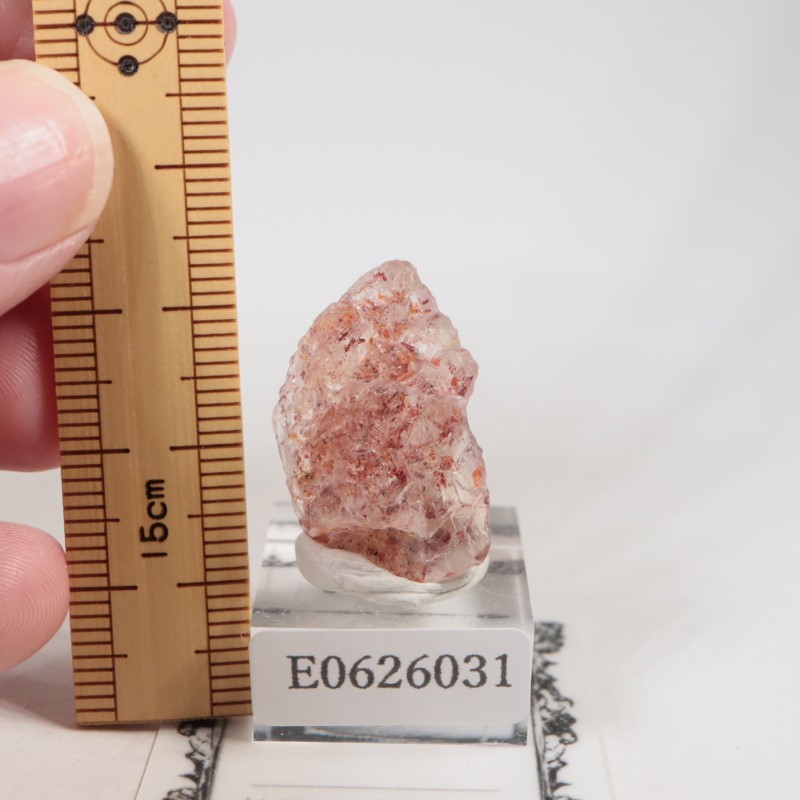 ���󥶥˥��������󥹥ȡ���