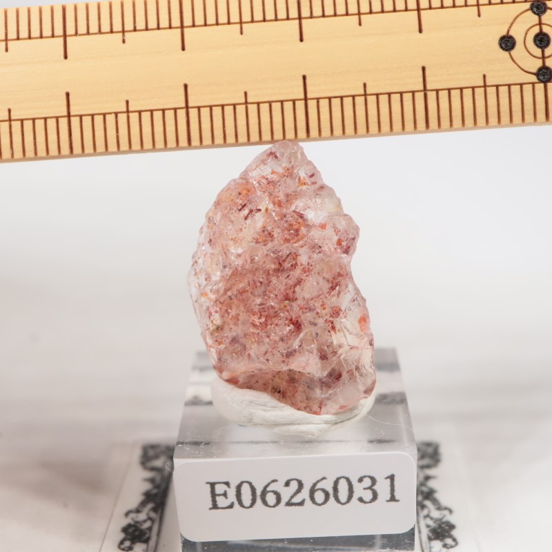 ���󥶥˥��������󥹥ȡ���