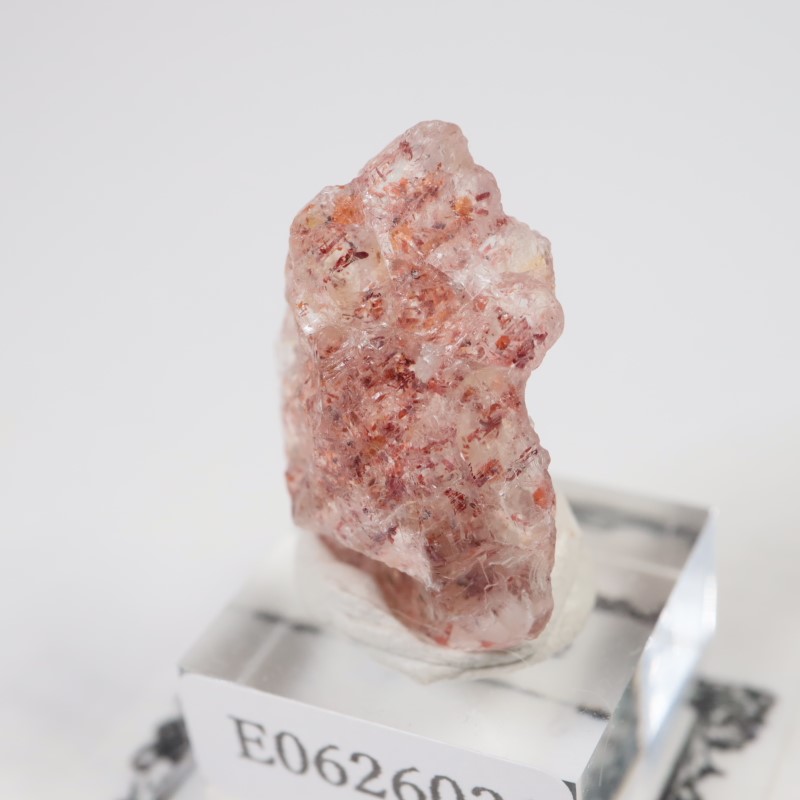 ���󥶥˥��������󥹥ȡ���