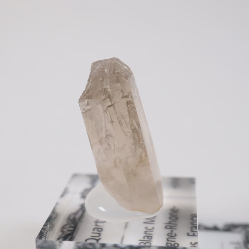 ���֥�� ��������