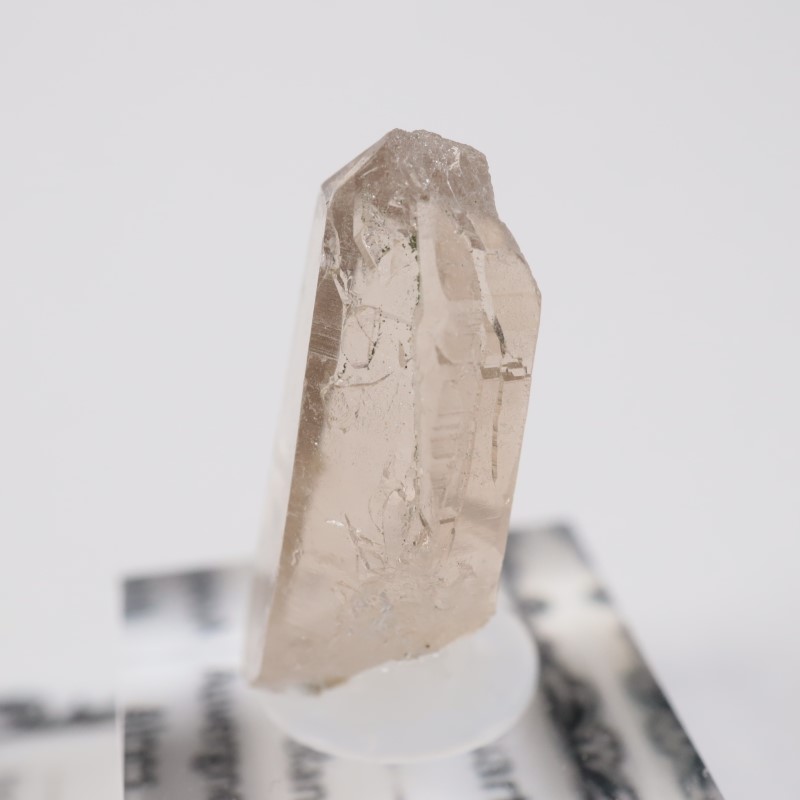 ���֥�� ��������