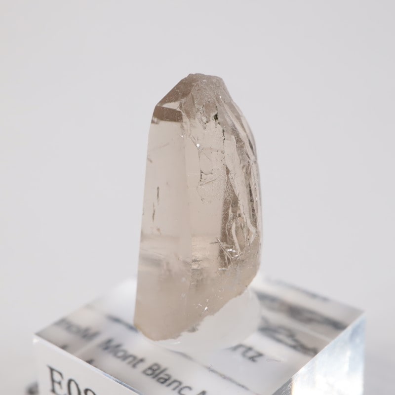 ���֥�� ��������