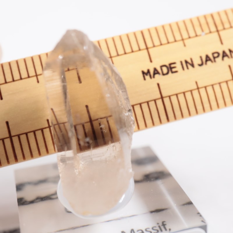 ���֥�� ��������