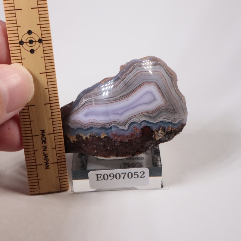 メキシコ産 ラグナアゲート | 鉱物標本,ア行,アゲート/瑪瑙