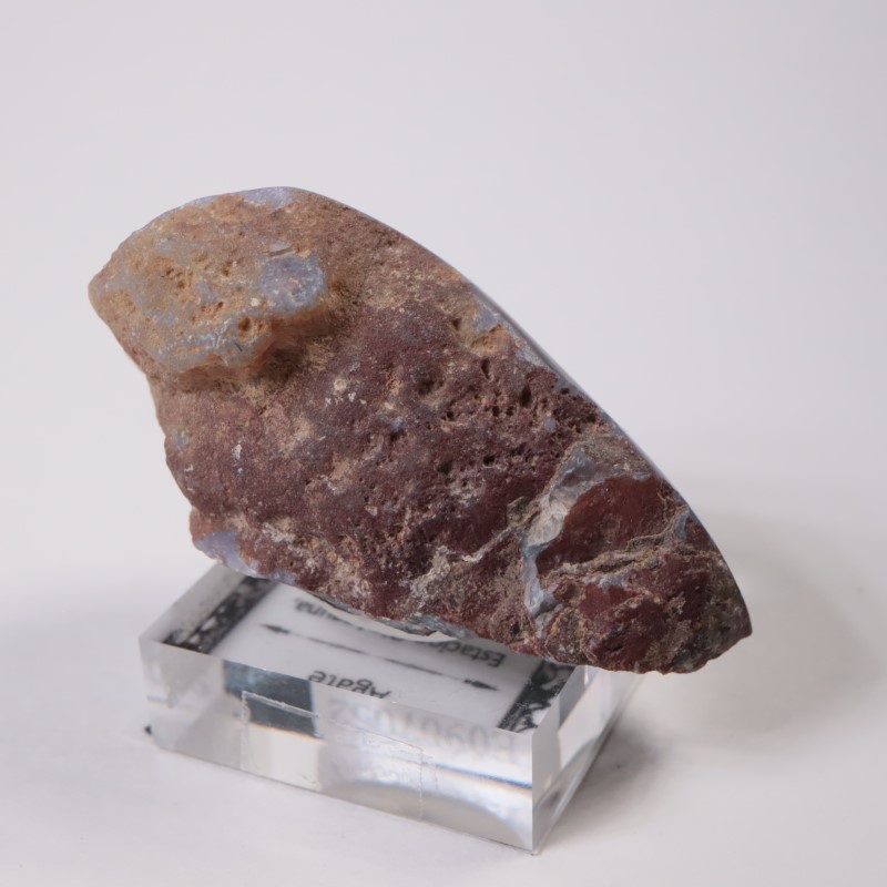 メキシコ産 ラグナアゲート | 鉱物標本,ア行,アゲート/瑪瑙