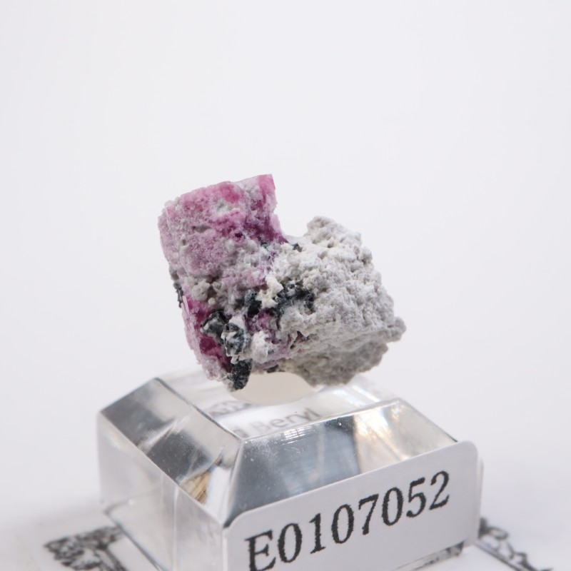 �楿������åɥ٥��