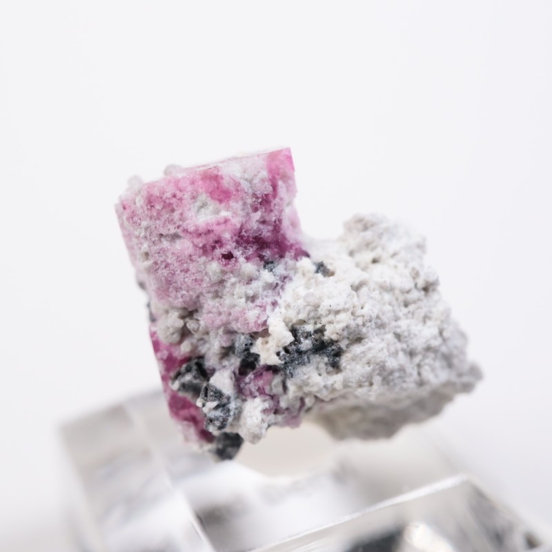 �楿������åɥ٥��