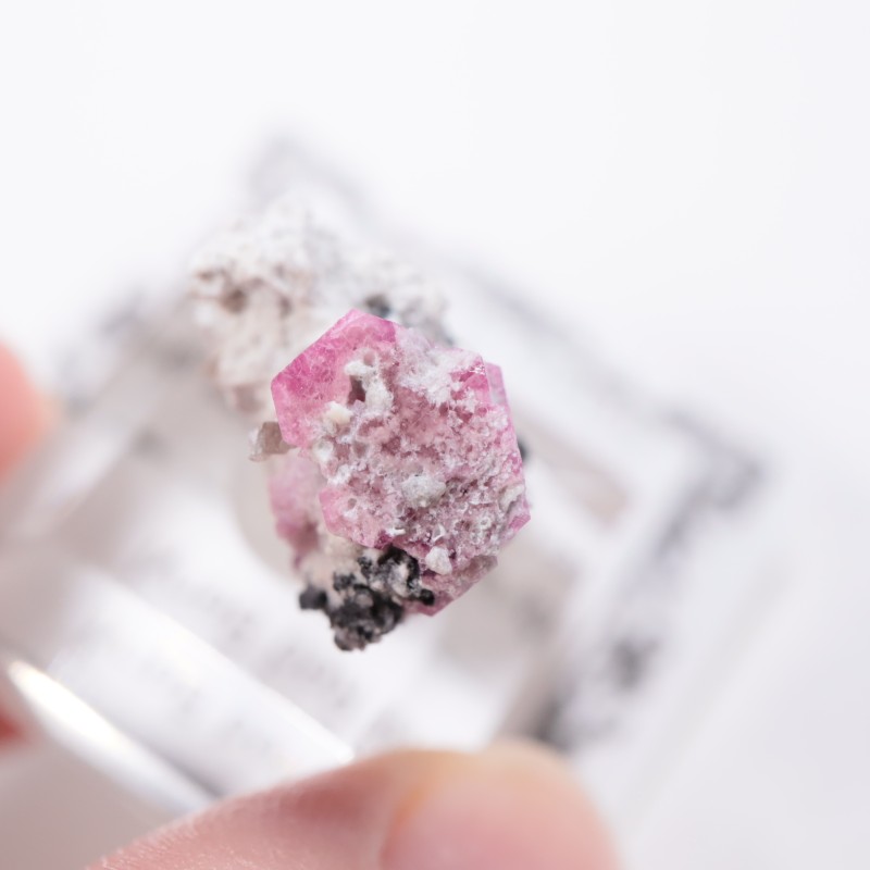 �楿������åɥ٥��