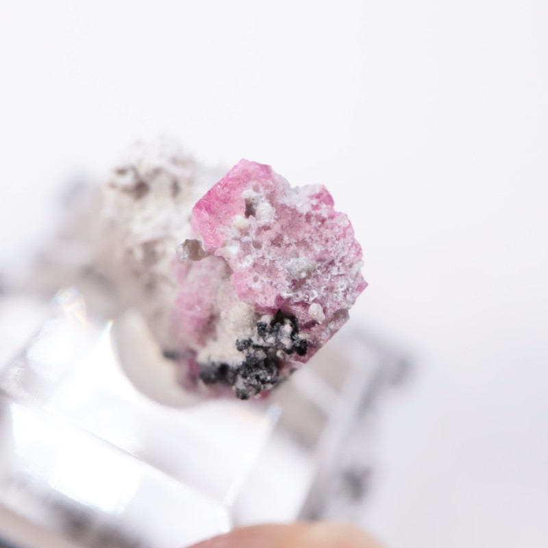 �楿������åɥ٥��