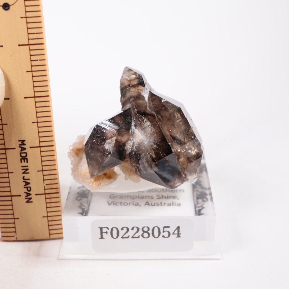 オーストラリア産 モララ水晶 | 鉱物標本,サ行,スモーキークォーツ/煙