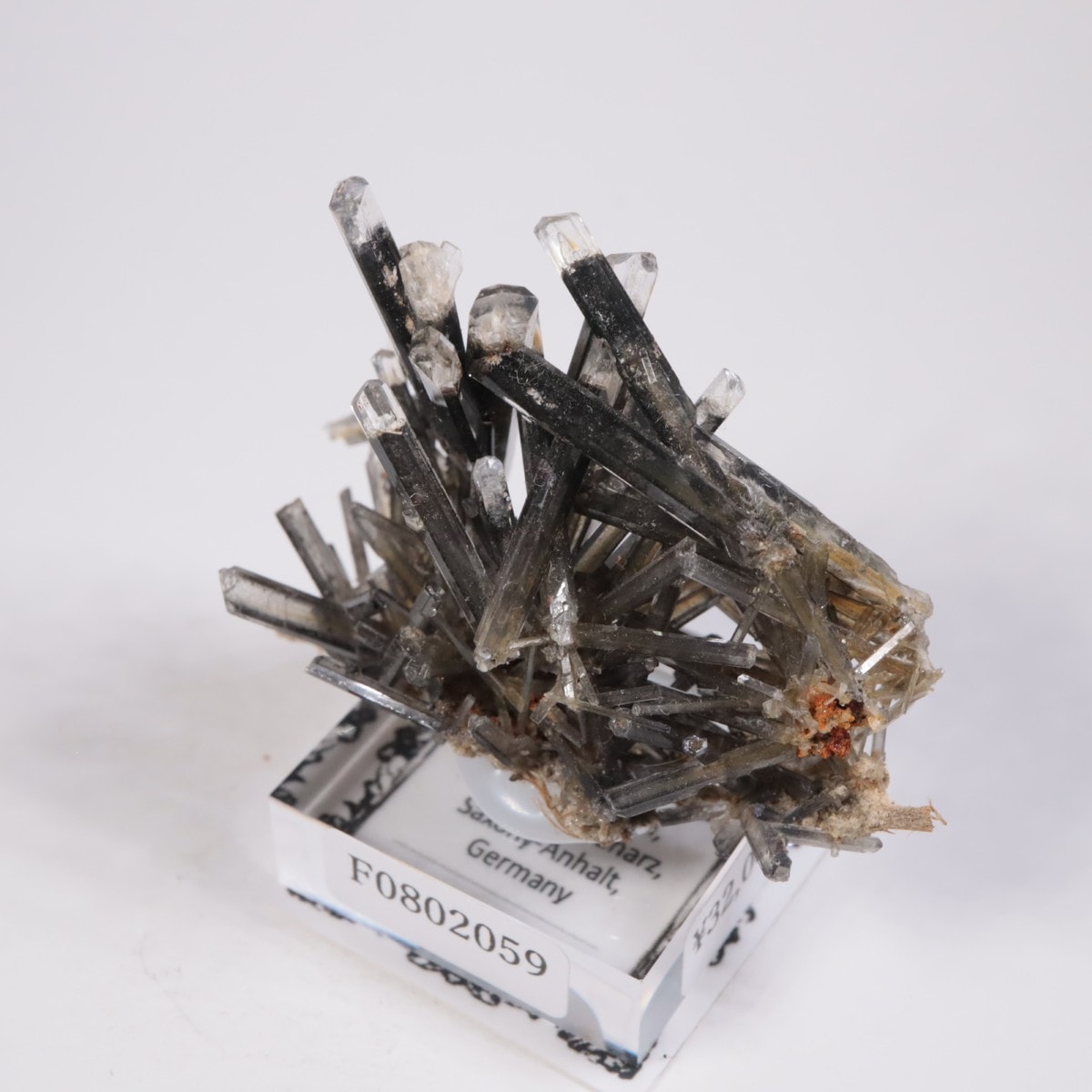 �ɥ��Ļ� ���ץ���