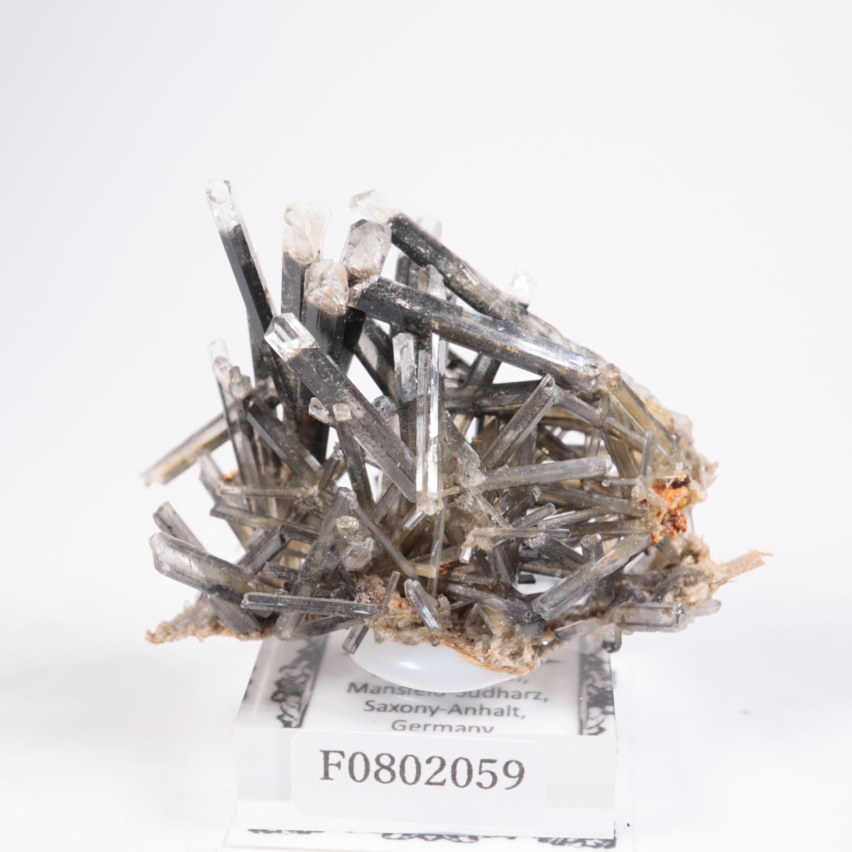 �ɥ��Ļ� ���ץ���