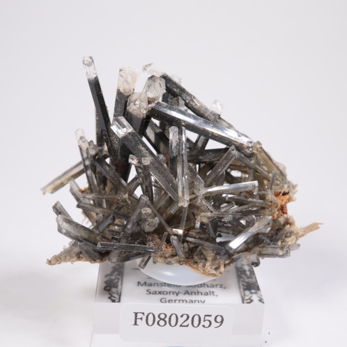 �ɥ��Ļ� ���ץ���