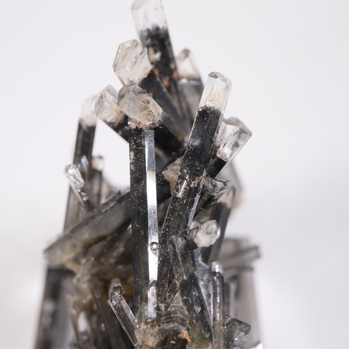 �ɥ��Ļ� ���ץ���