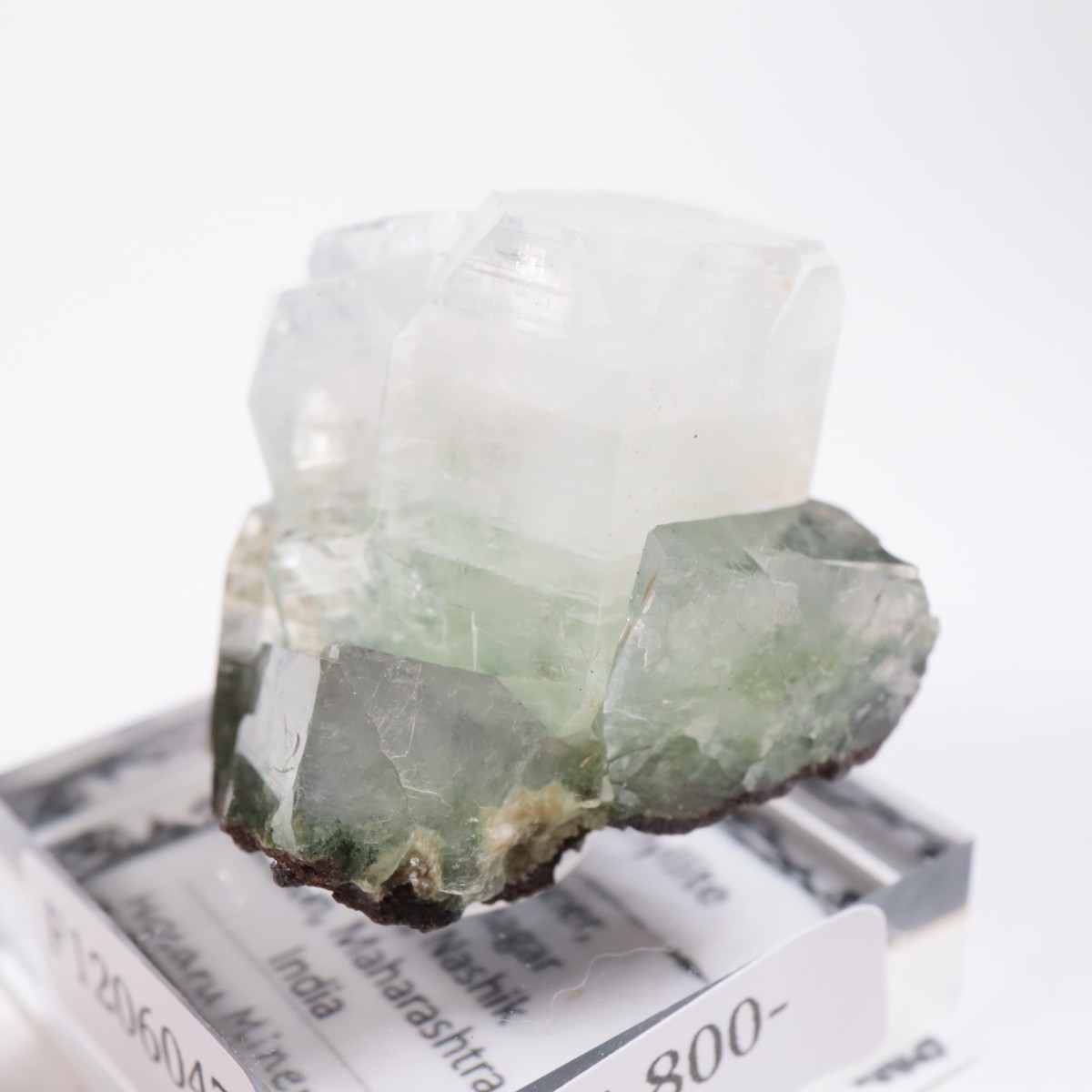 ����ɻ� ���ݥե��饤��