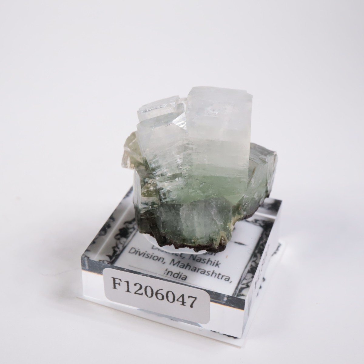 ����ɻ� ���ݥե��饤��