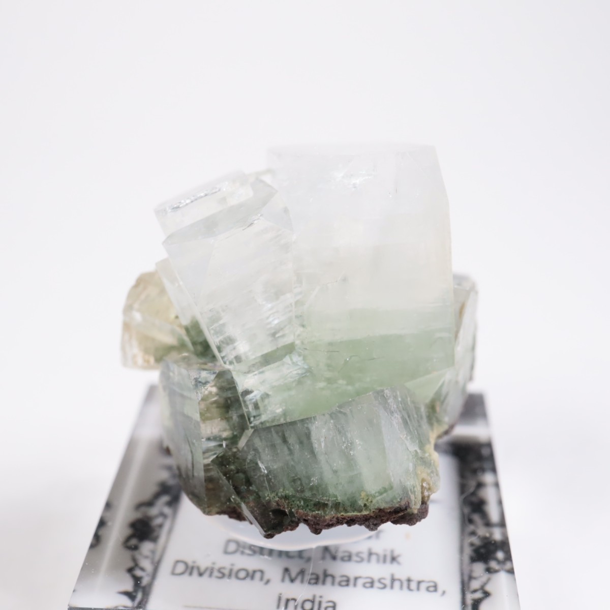 ����ɻ� ���ݥե��饤��