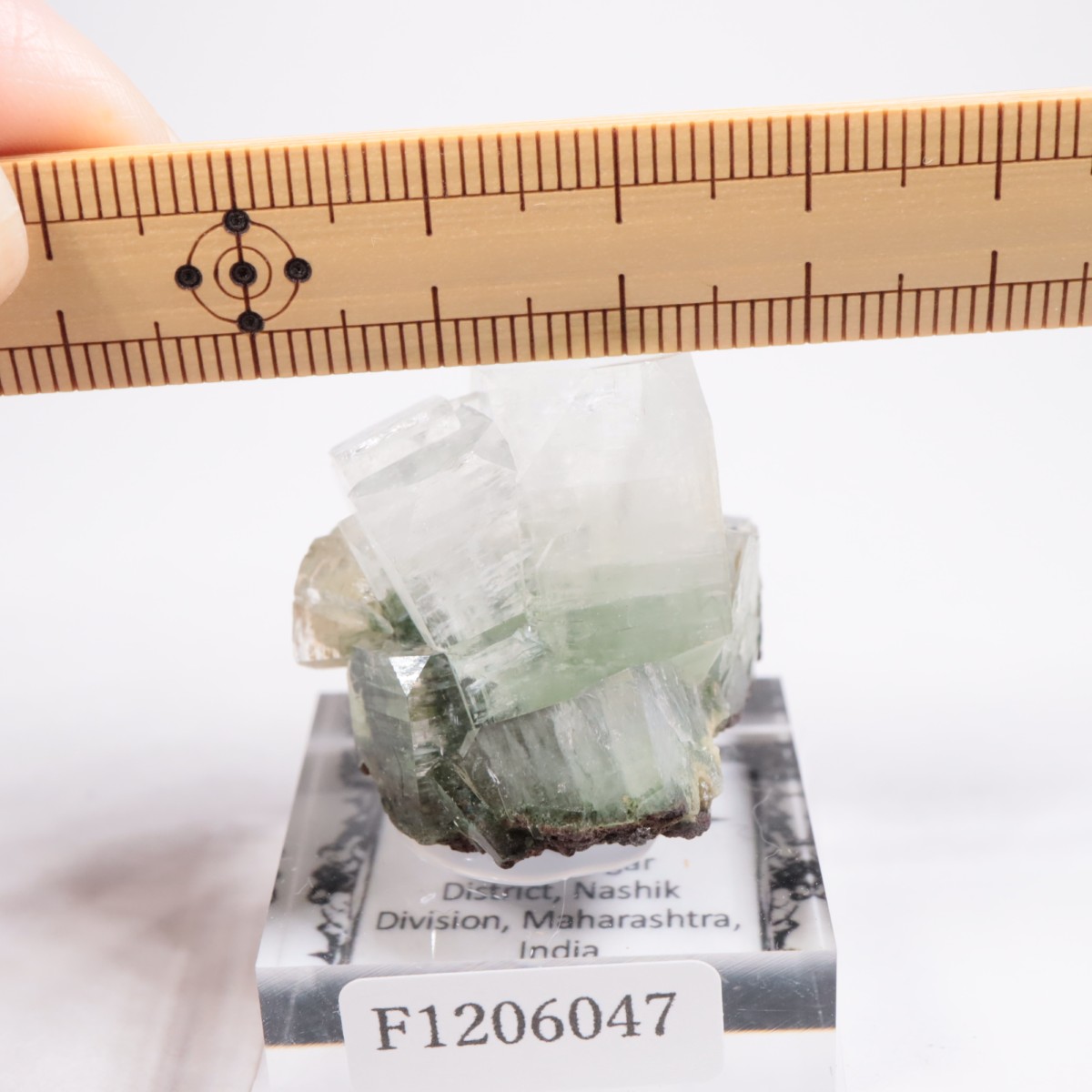 ����ɻ� ���ݥե��饤��