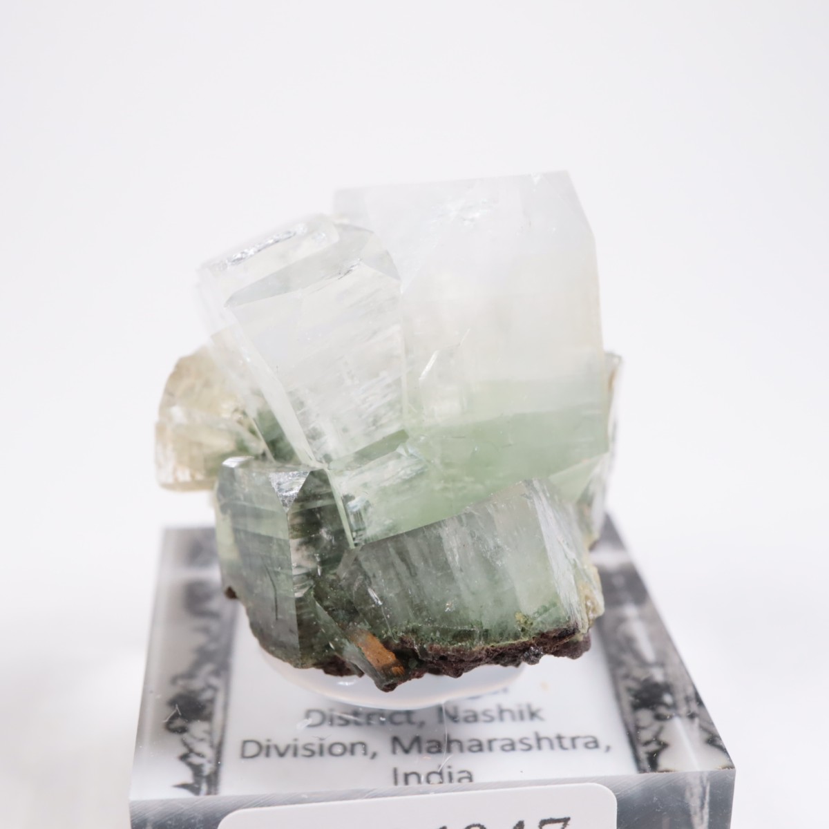 ����ɻ� ���ݥե��饤��