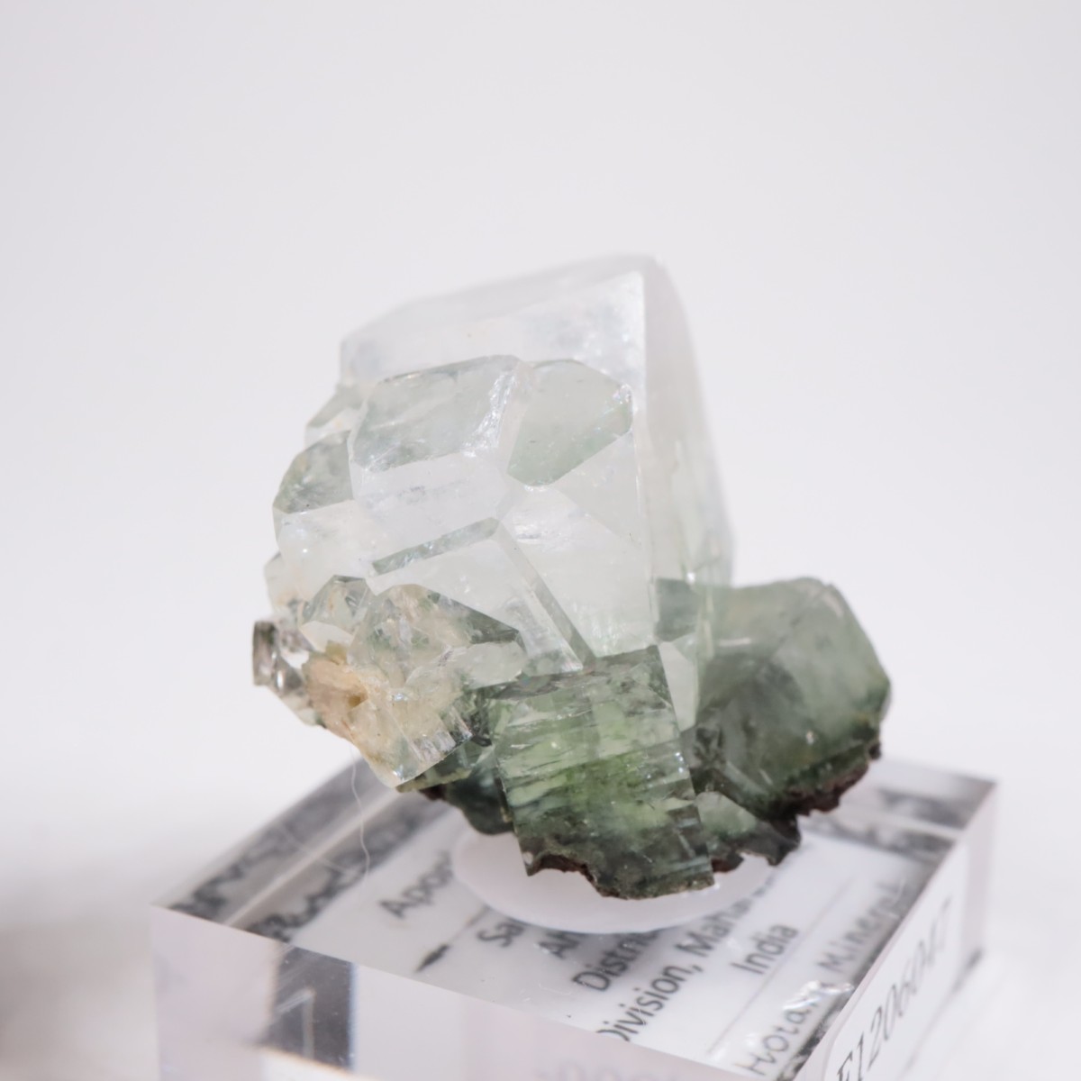 ����ɻ� ���ݥե��饤��