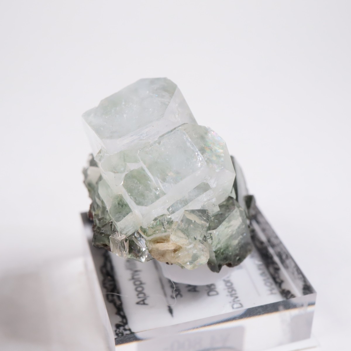 ����ɻ� ���ݥե��饤��