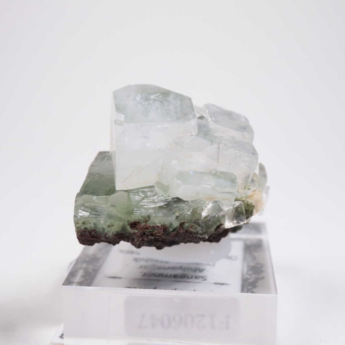 ����ɻ� ���ݥե��饤��