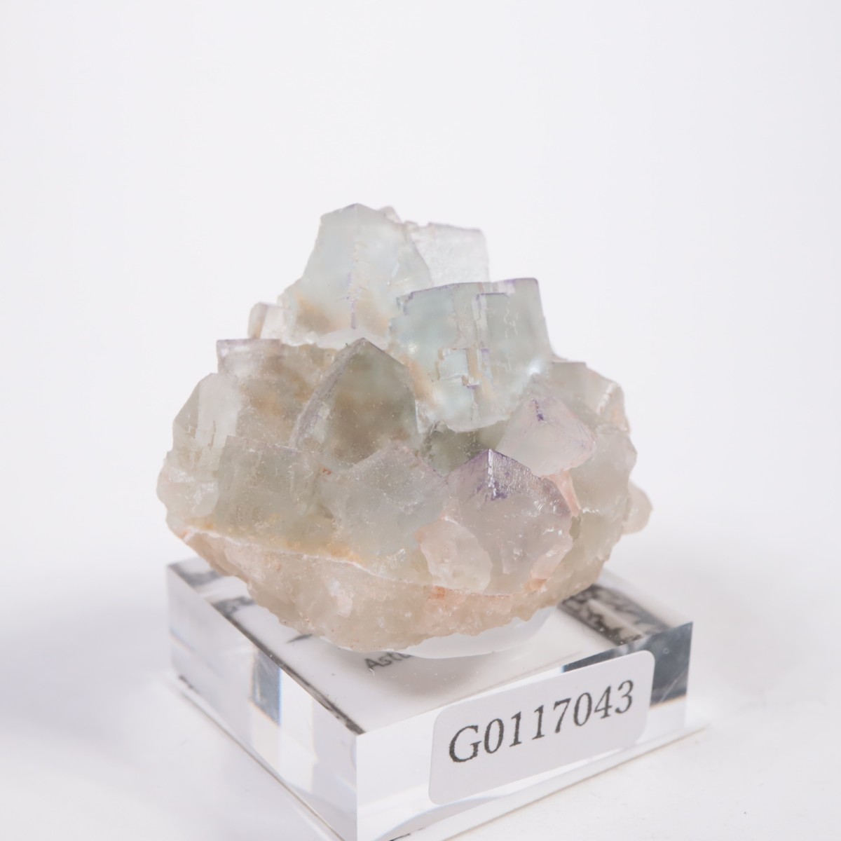 ���ڥ��� �ե����饤��