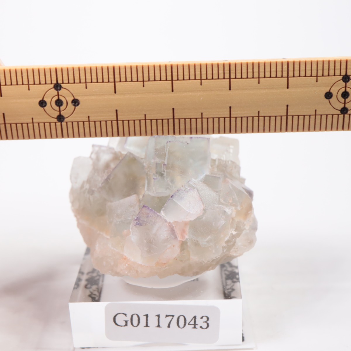 ���ڥ��� �ե����饤��