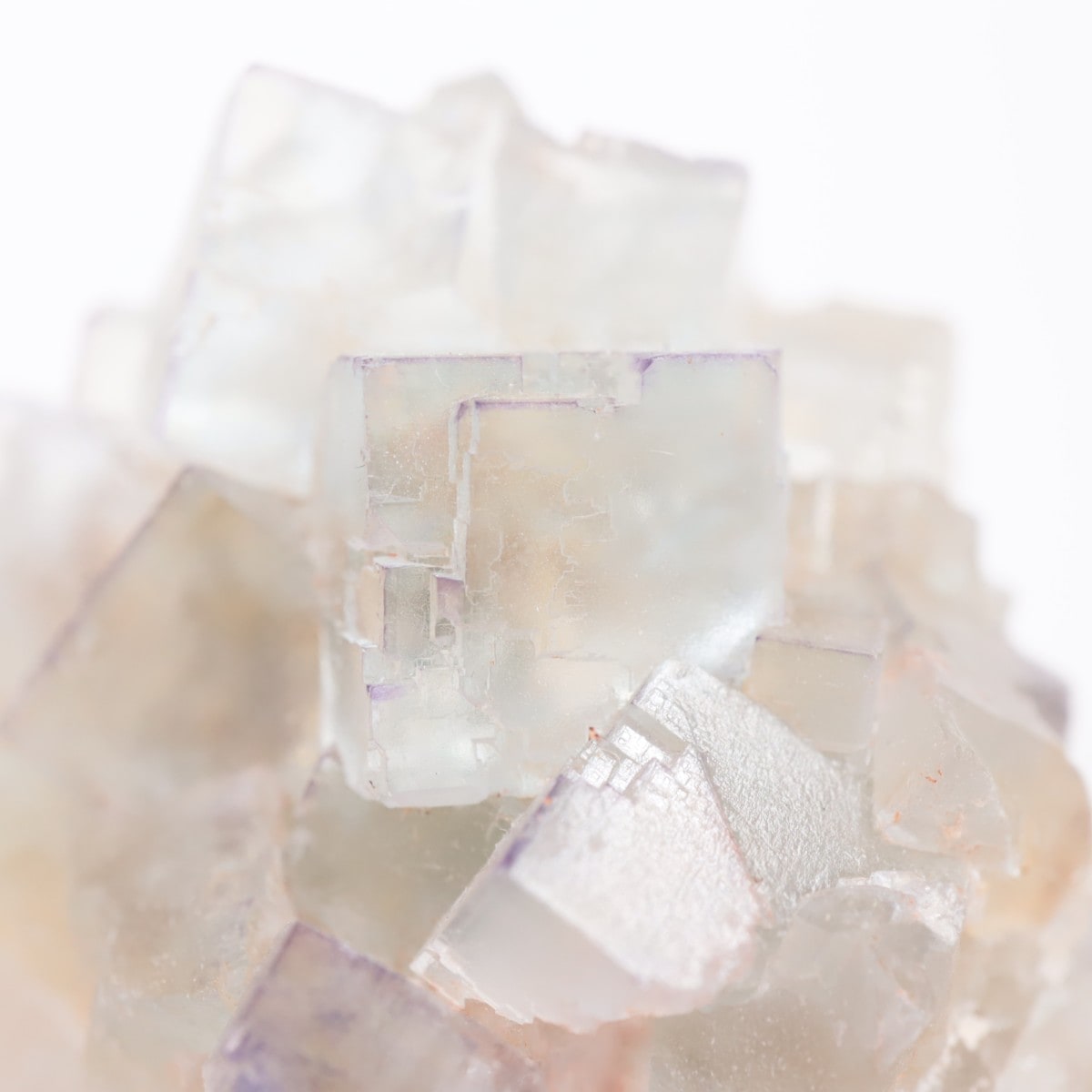 ���ڥ��� �ե����饤��