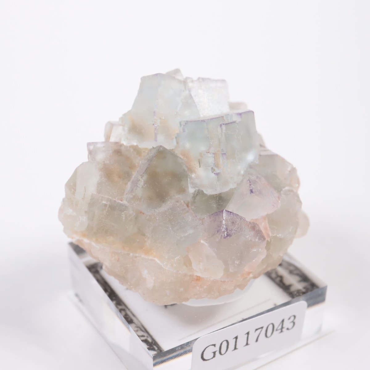 ���ڥ��� �ե����饤��