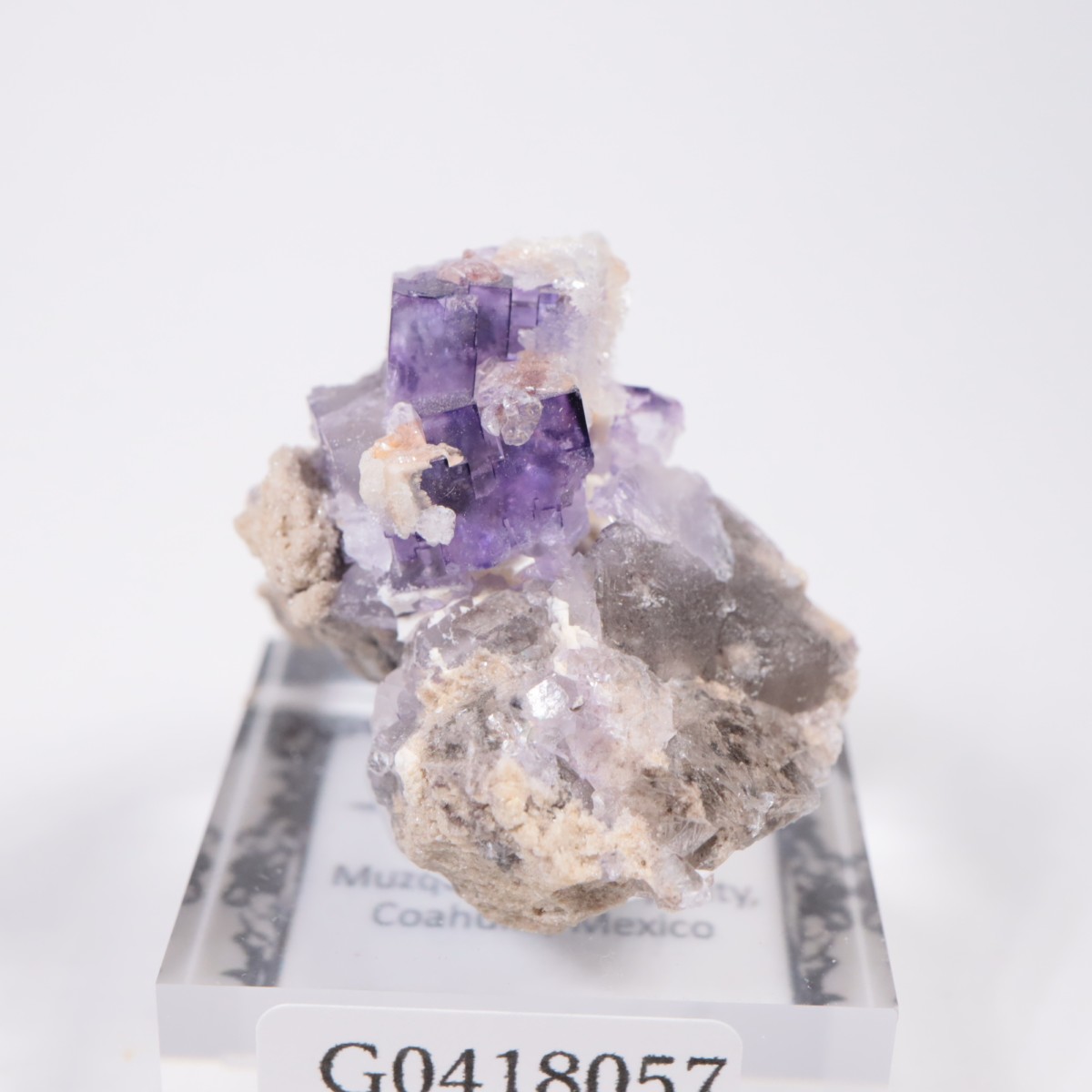 �ᥭ������ �ե����饤��