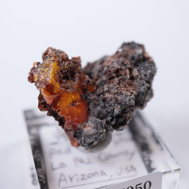 レッドクラウド鉱山 ウルフェナイト | 鉱物標本,ア行,ウルフェナイト