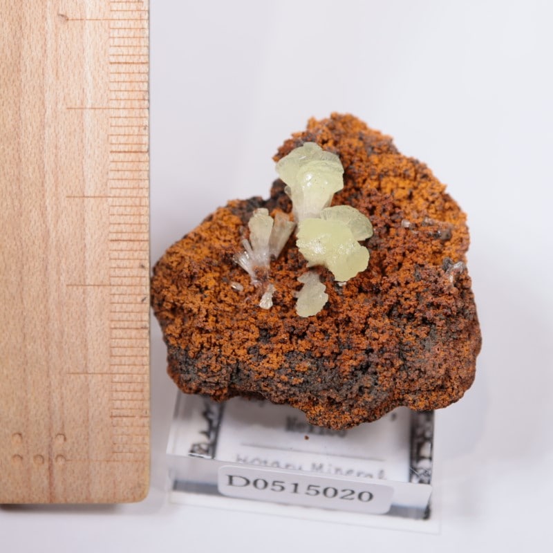 オハエラ鉱山 アダマイト | 鉱物標本,ア行,アダマイト/アダム鉱