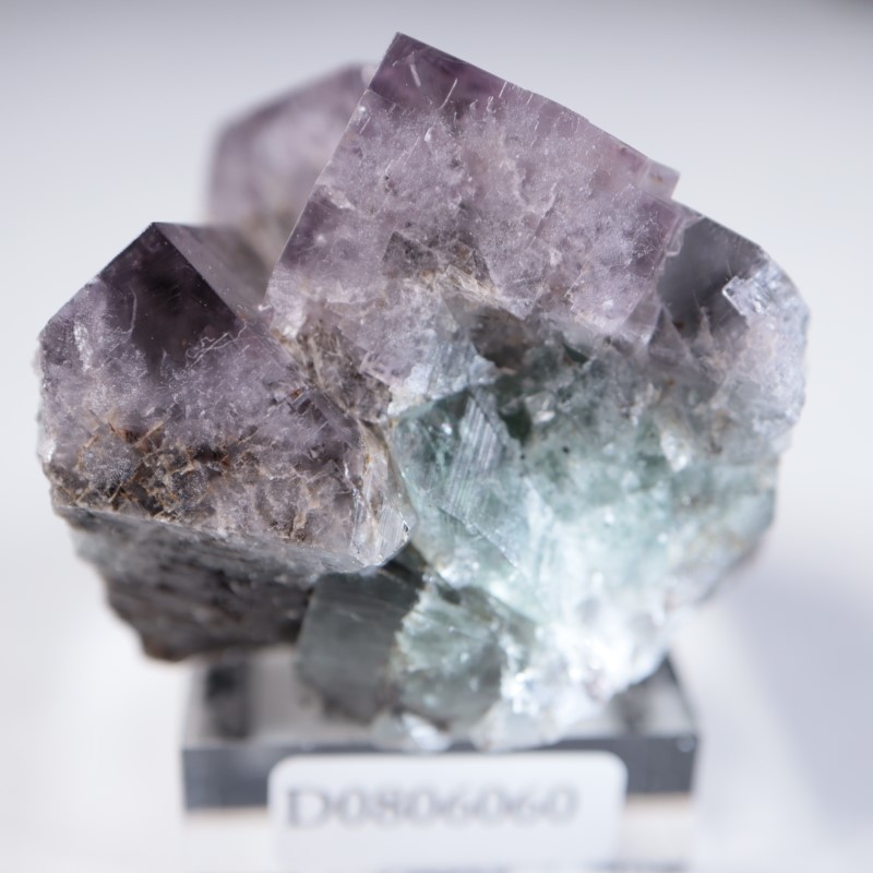 Purple Rain Pocket フローライト | 鉱物標本,ハ行,フローライト/蛍石