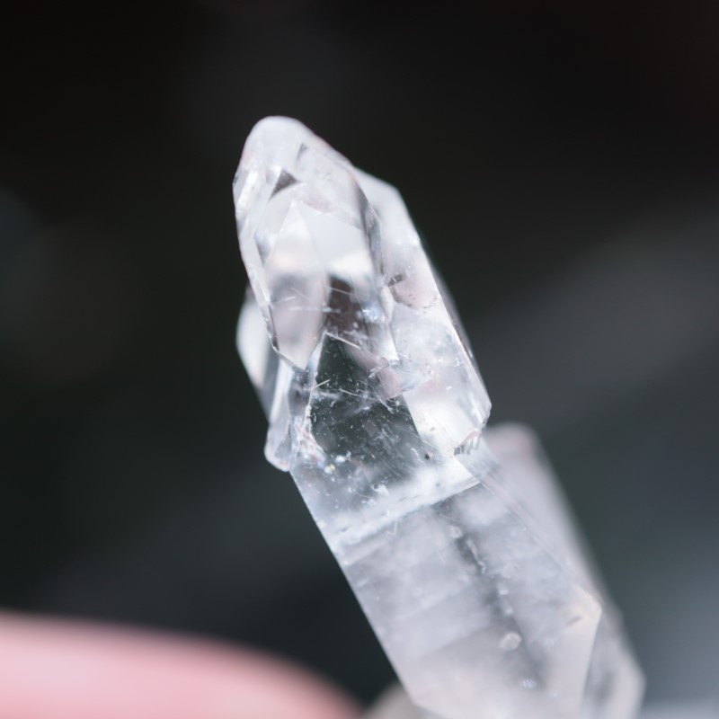 Sawda�ۻ������ݥե��饤��