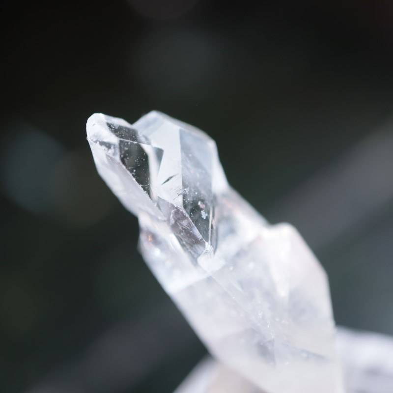 Sawda�ۻ������ݥե��饤��