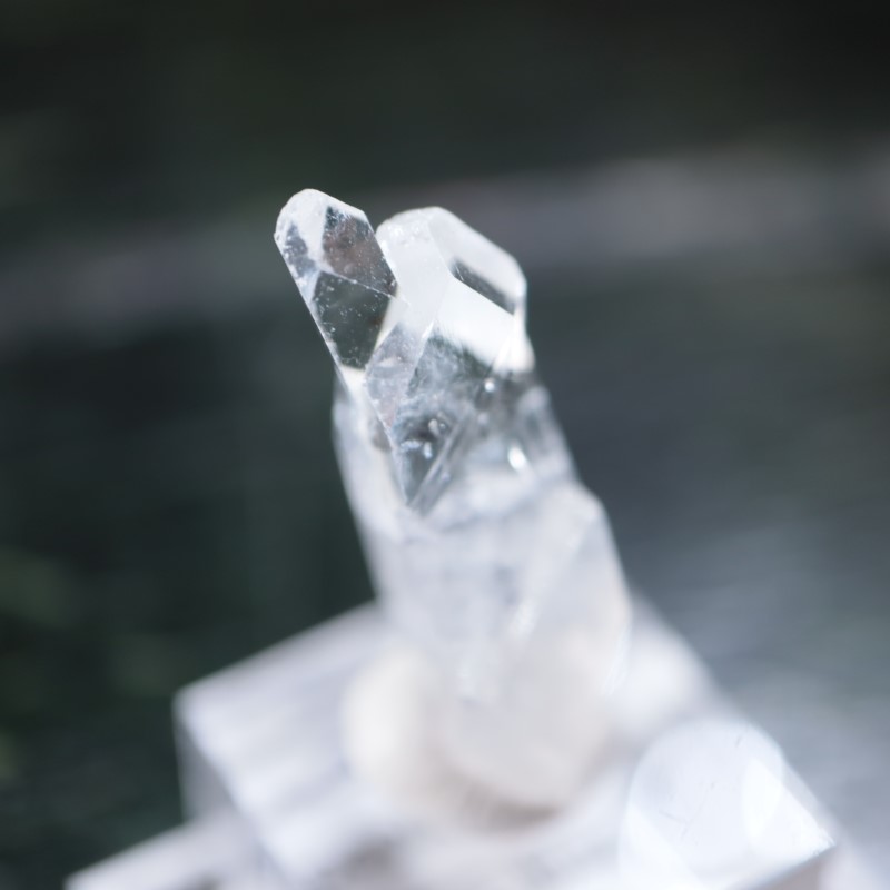 Sawda�ۻ������ݥե��饤��