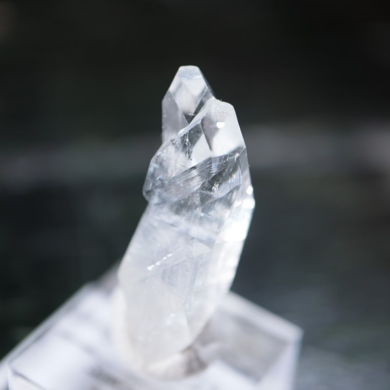 Sawda�ۻ������ݥե��饤��