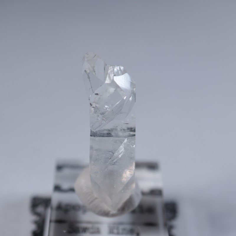 Sawda�ۻ������ݥե��饤��