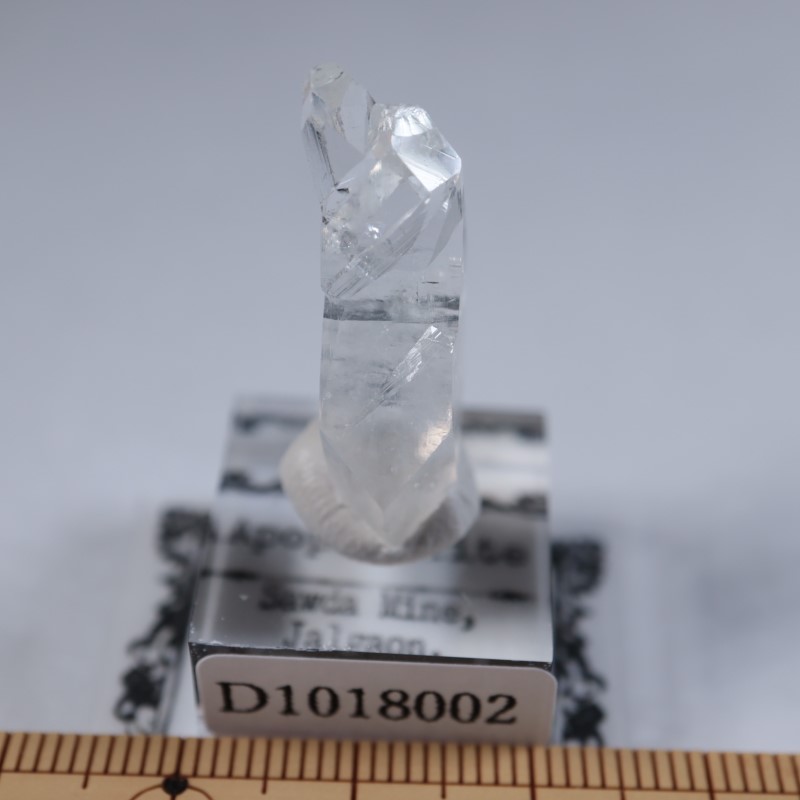 Sawda�ۻ������ݥե��饤��