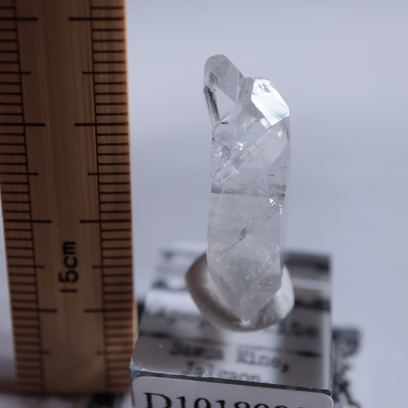 Sawda�ۻ������ݥե��饤��