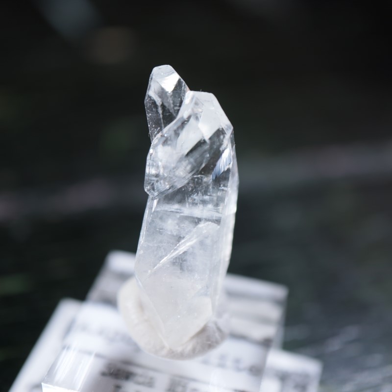 Sawda�ۻ������ݥե��饤��