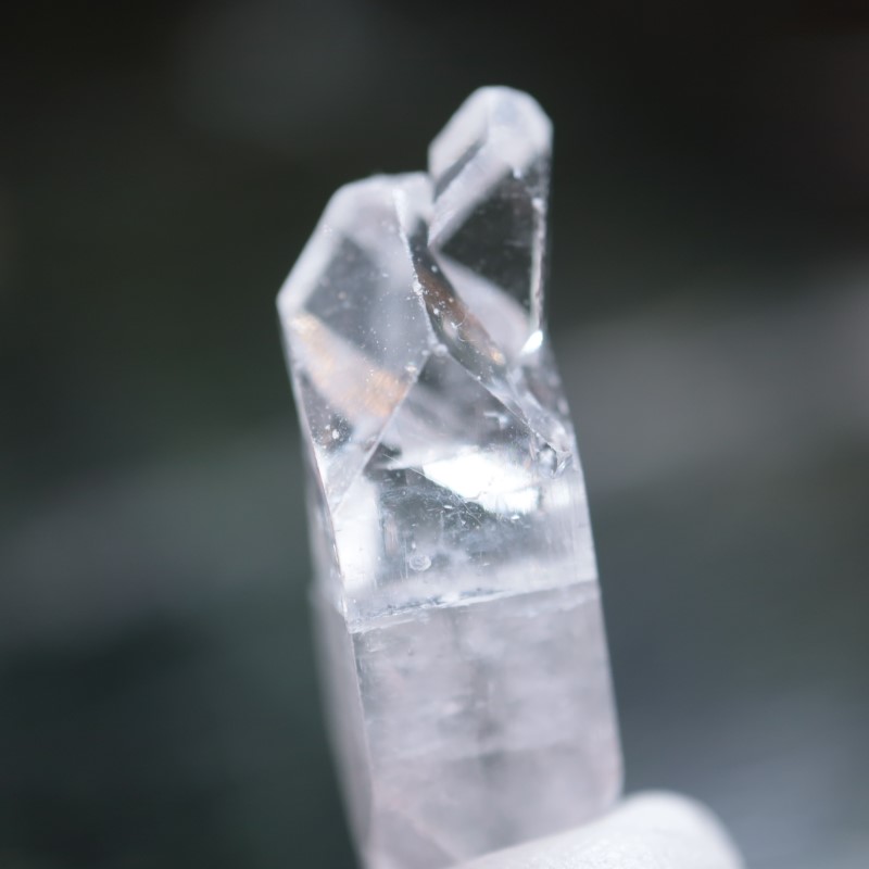 Sawda�ۻ������ݥե��饤��