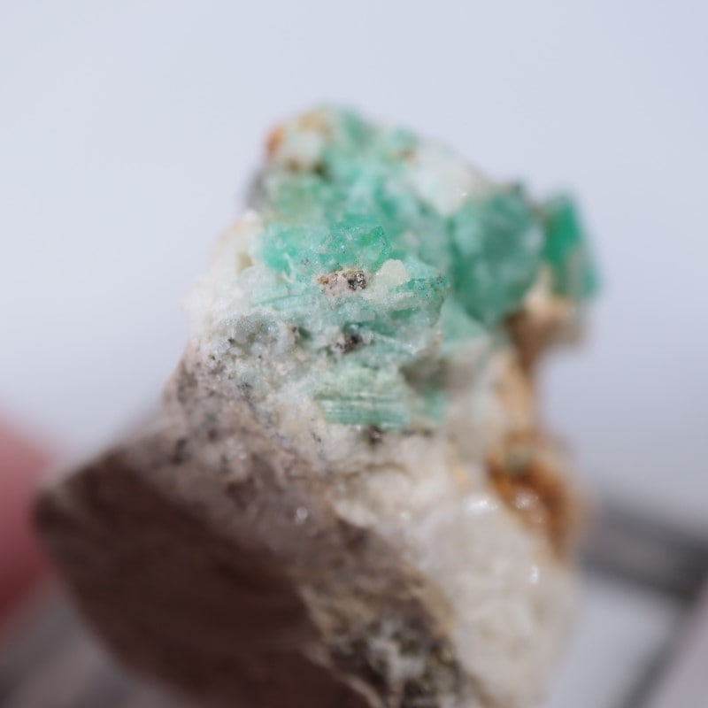 ������ӥ������������