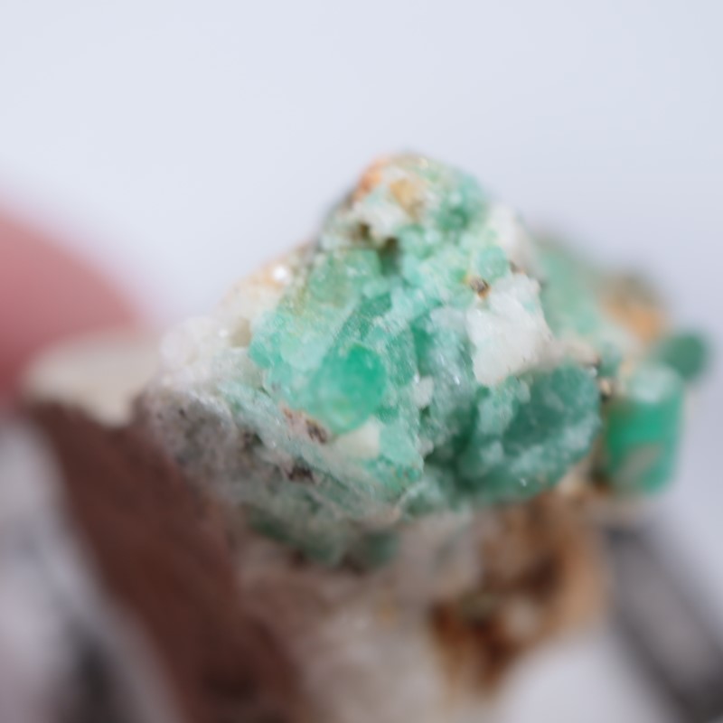 ������ӥ������������