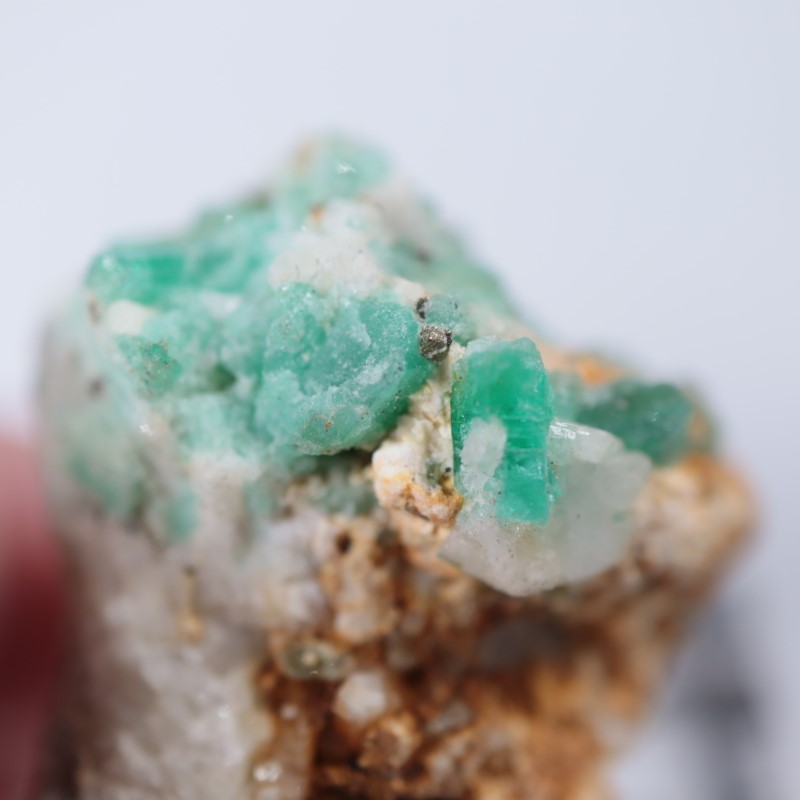 ������ӥ������������